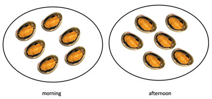 Image of two plates, each with 6 paua on it. One is labeled morning, and the other is labeled afternoon.