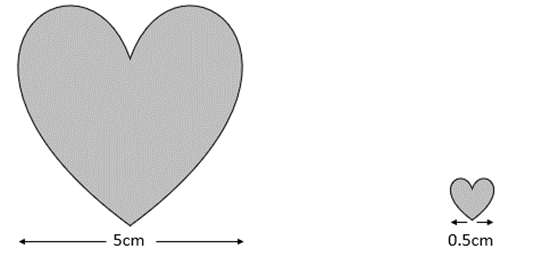 A scale drawing of two hearts.